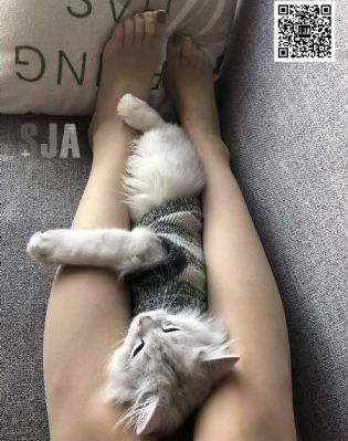 清清影院_超清免费在线观看