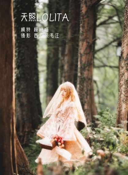 小爸爸电视剧全集免费观看完整版_BD电影在线观看