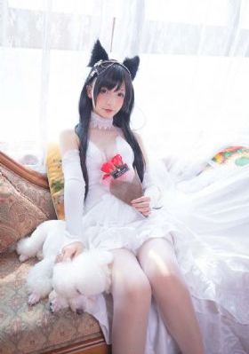 91在线视频免费_1080免费观看电视剧